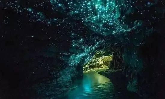 沪江开心词场