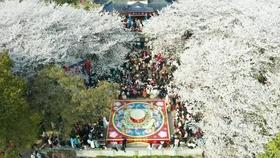 幻想乡空斗祭