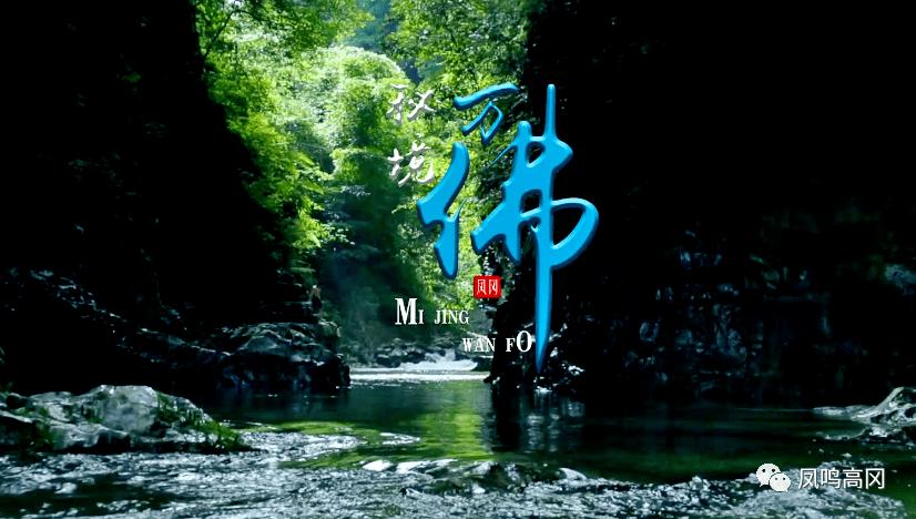 芭比娃娃的服装