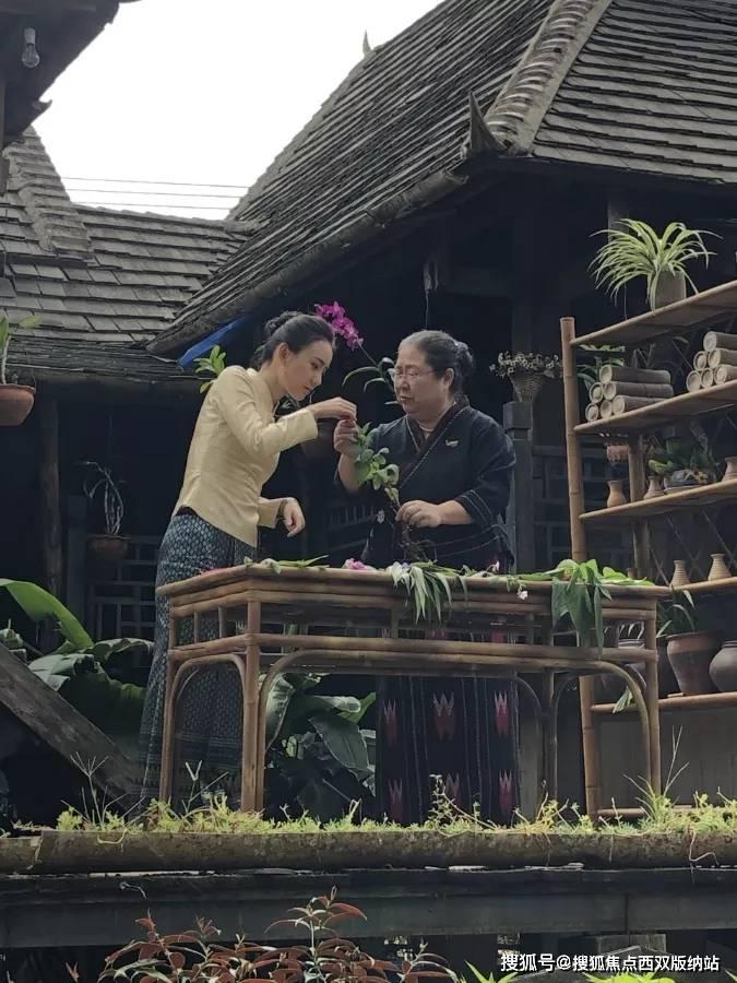 我的人生：赵秀丽发现若轩遗言视频，若华离婚，母女俩彻底和解