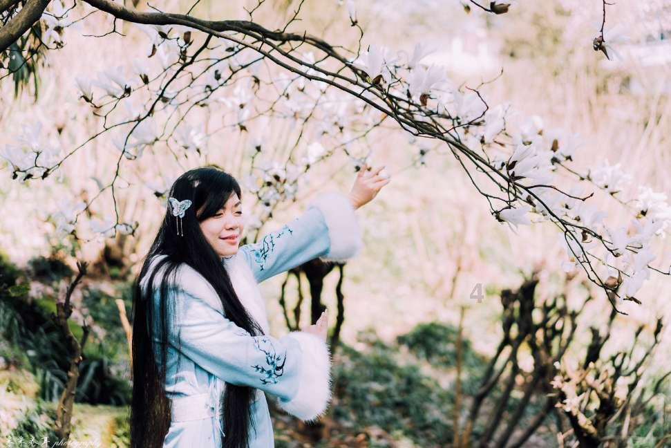 佛教和道教有什么区别？游戏画面