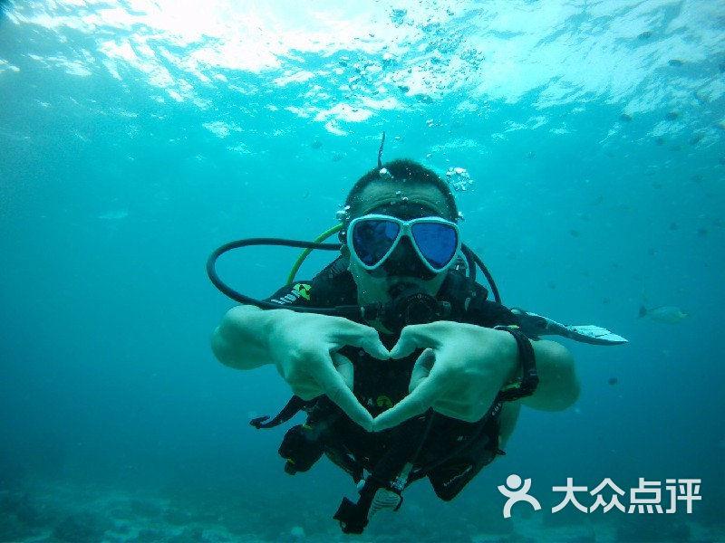 逃离森林边缘
