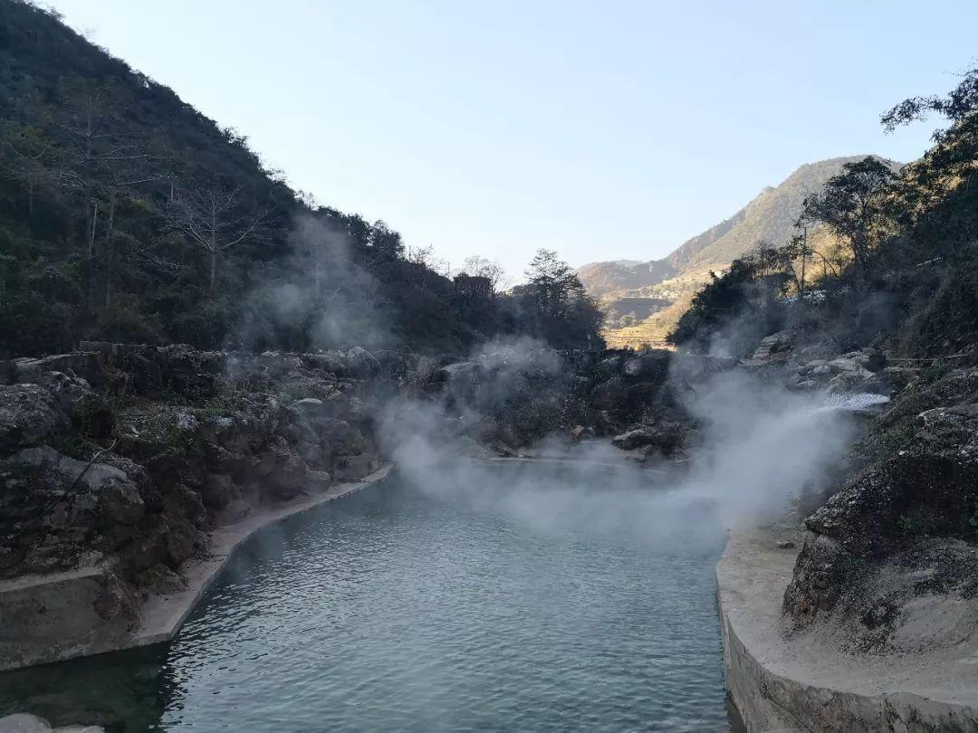 请问下图片中的植物叫什么名字？游戏画面