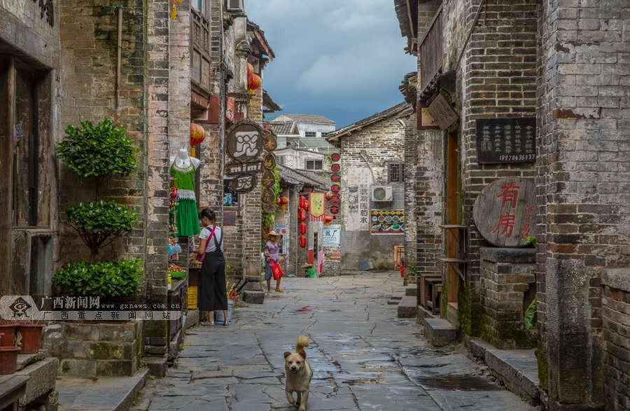 解救可爱的鸭子