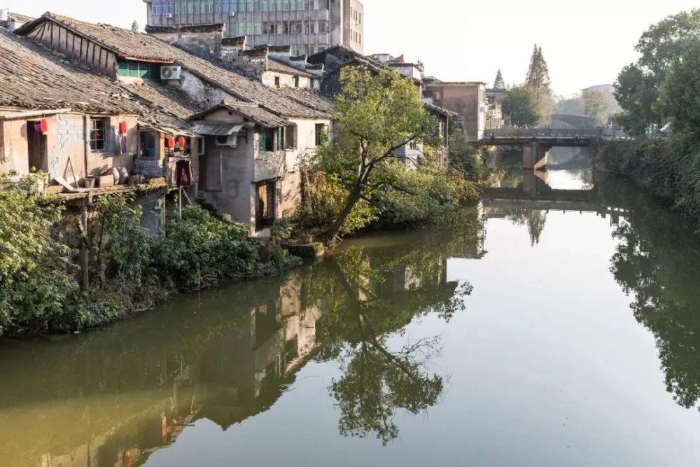 女生说她是一只小乌龟怎么回复？